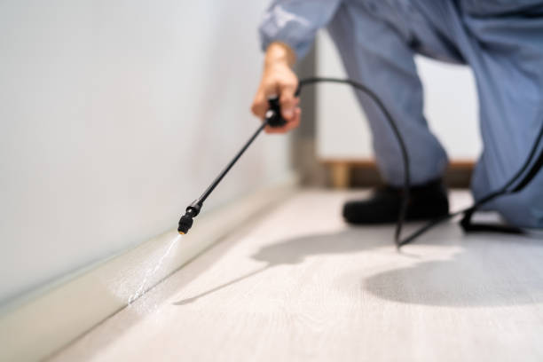Licensed Fumigation Services service in Franklin County County, KY - Nex Pest Control